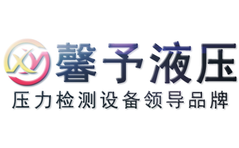 高壓逆止閥/高壓單向閥/高壓止回閥